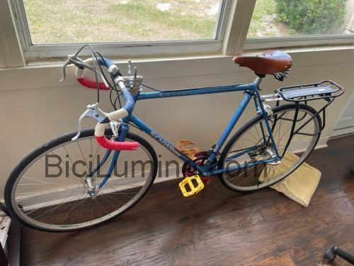 Schwinn Sprint ficha técnica y opiniones